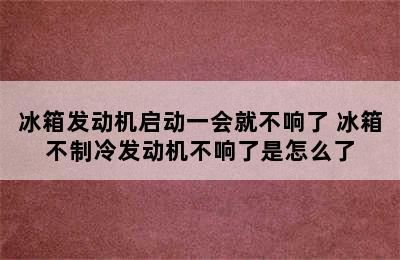 冰箱发动机启动一会就不响了 冰箱不制冷发动机不响了是怎么了